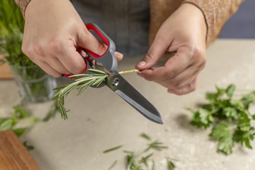 Kitchen Shears Universal