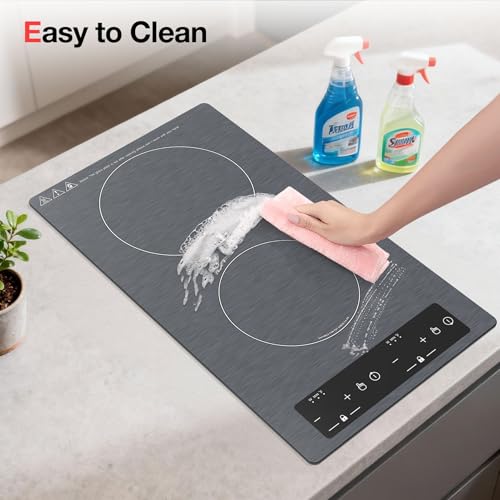 Double Induction Cooktop 110v