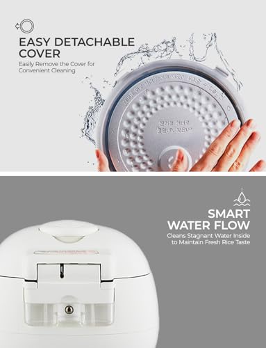 Micom Fuzzy Logic Rice Cooker