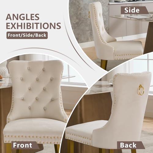 Cream Velvet Dining Chairs Set of 6 (6 Count)