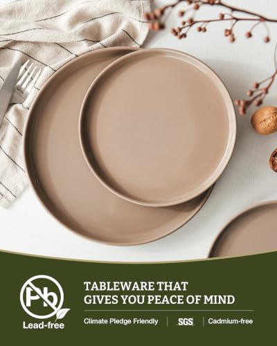 Milkyway 16 Piece Dinnerware Set with Mugs