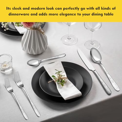 40 Piece Silverware Set (40 Count)