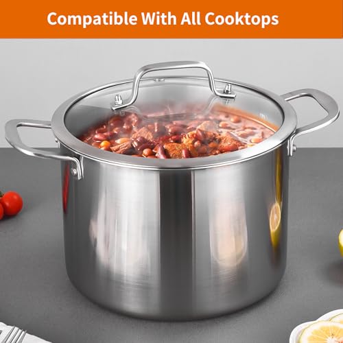 Tri ply Stainless Steel 8 Quart Heavy Duty Induction Stock Pot