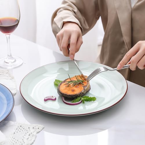 Ceramic Plates and Bowls Set