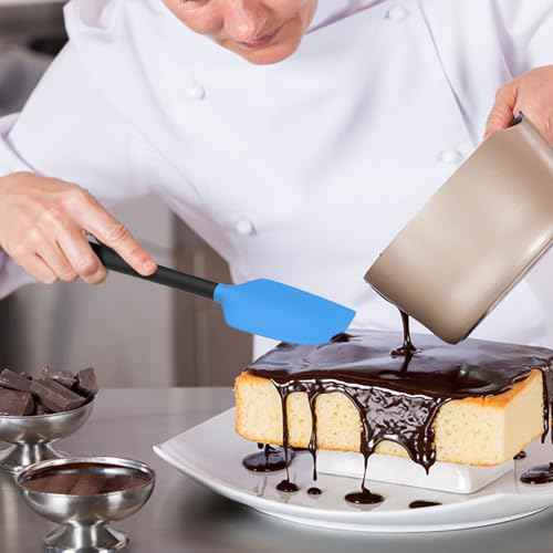 Silicone Spatula Set of 5 (5 Count)