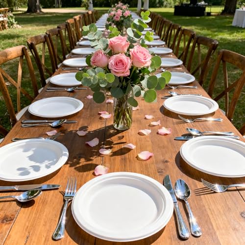 Compostable Small Paper Plates 6 Inch 125 Pack Dessert Plates (125 Count)