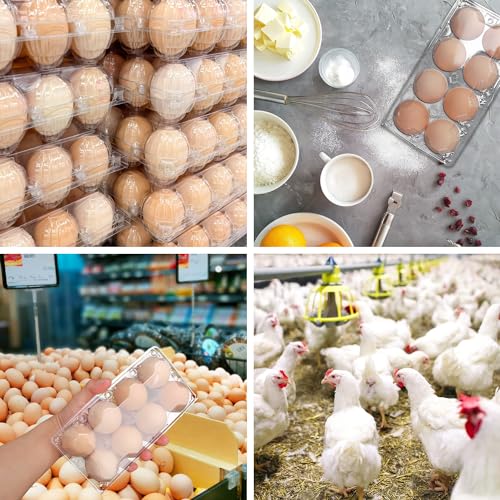 150 Pack Bulk Egg Cartons (150 Count)