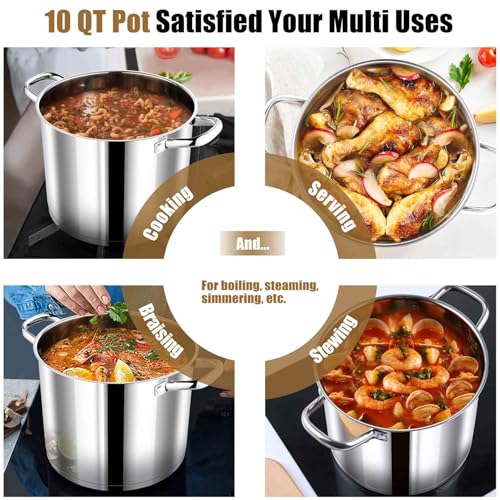 10 QT Stainless Steel Stock Pot with Lid