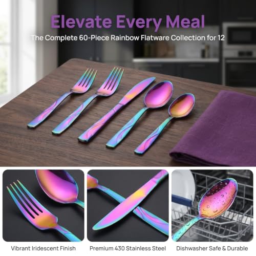 60 Piece Rainbow Silverware Set for 12 (60 Count)