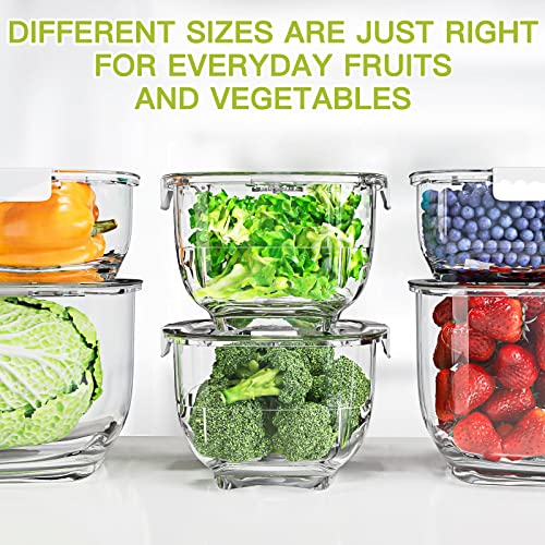 Fresh Produce Vegetable Fruit Storage Containers 3Piece Set