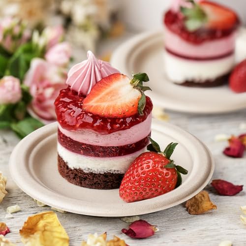 Compostable Small Paper Plates 6 Inch 125 Pack Dessert Plates (125 Count)