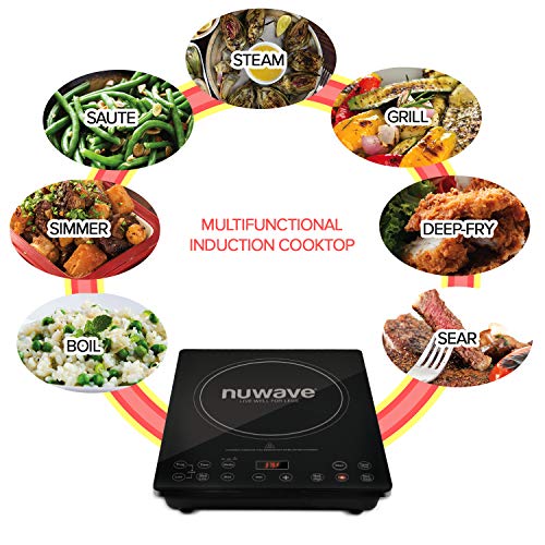 Pro Chef Induction Cooktop