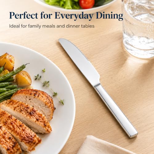 12 Piece Stainless Steel Dinner Knife Set