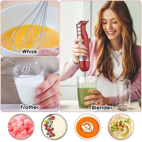 Immersion Blender Handheld