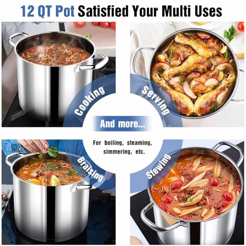 12 QT Stainless Steel Stock Pot with Lid