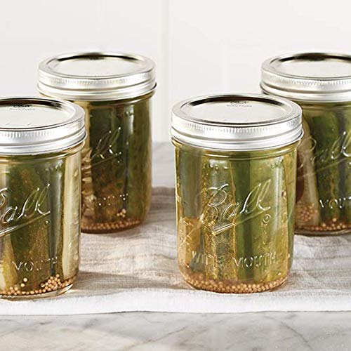 Wide Mouth Pint 16 (12 Count)