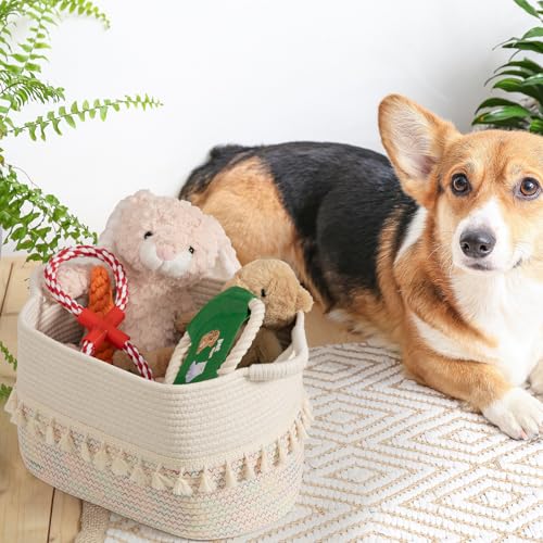 Woven Baskets for Storage (3 Count)