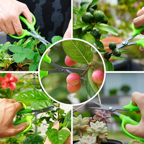 Garden Scissors