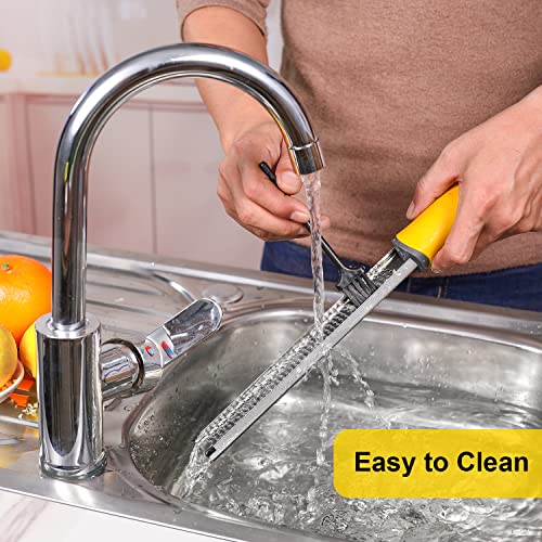 Professional Stainless Steel Lemon Zester & Grater