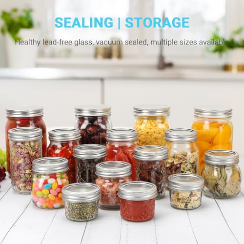 24 Pack 8 oz Clear Glass Mason Jars with Silver Metal Split Lids (24 Count)