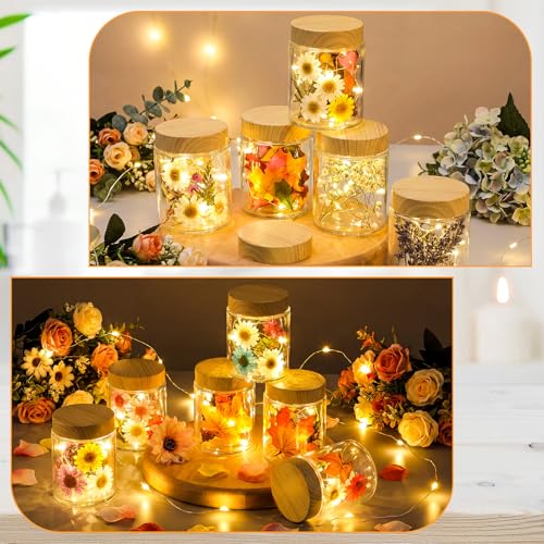 24 Pcs Glass Cosmetic Jars Empty