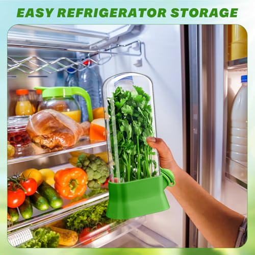 2 Pieces Herb Saver for Refrigerator Fresh Herb Keeper Cilantro Container for Fridge Saver Pod for Cilantro (2 Count)