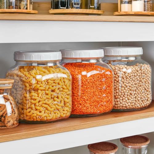 0.8Gal Glass Jar with Lid (2 Count)