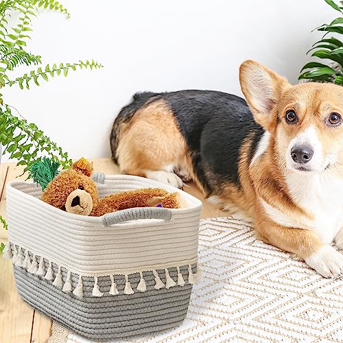 Storage Basket 3 Pack for Organizing (3 Count)