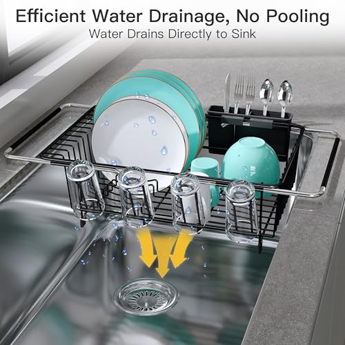 Black Dish Drying Rack in Sink with Drainboard and Utensil Holder