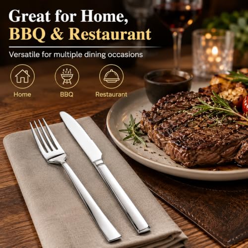 20 Piece Stainless Steel Dinner Knife and Fork Set for 10