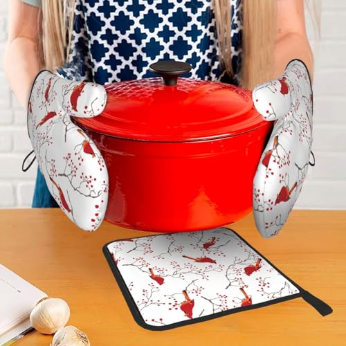 Cardinal Bird Red Berry Decor Oven Mitts and Pot Holders Sets of 3 (3 Count)