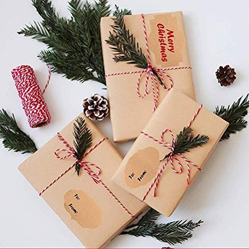 300 Pcs Self Adhesive Gift Tags Name Jar Labels Stickers (300 Count)