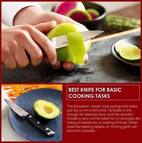 Chef Knife and Paring Knife Set