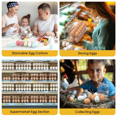 100 Pack Large Egg Cartons Cheap Bulk 12 Count Plastic Egg Containers 2x6 (100 Count)