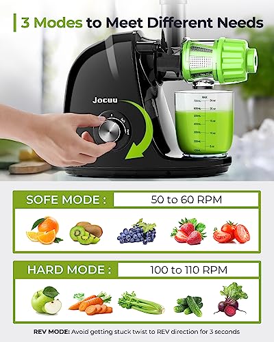 Slow Masticating Juicer with 2