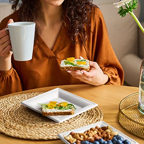 Samll Compostable Square Paper Plates 6 Inch 100 Pack Disposable (100 Count)