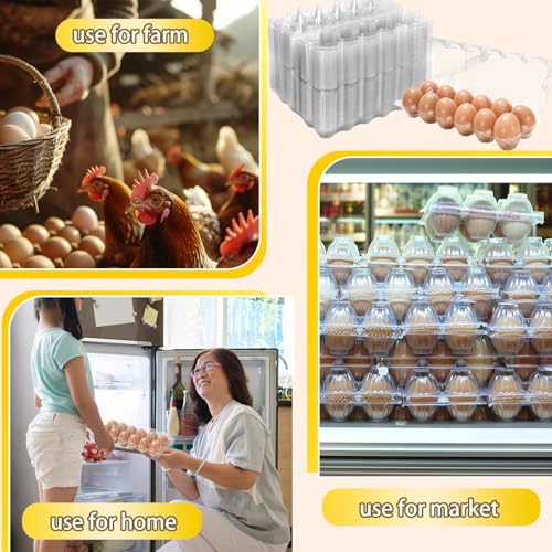 200Pcs Plastic Egg Carton Bulk Empty Clear Egg Tray Holder Container for Farm Business Market Home Kitchen Refrigerator Storage (200 Count)