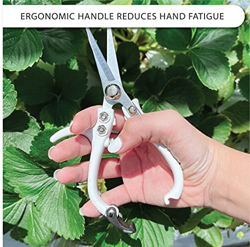 Precision Garden Shears with Vegan Leather Sheath (2 Count)