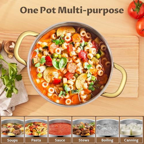 12 QT Stainless Steel Stock Pot