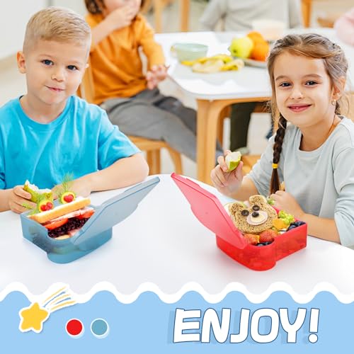 20 Oz Sandwich Containers for Kids (2 Count)