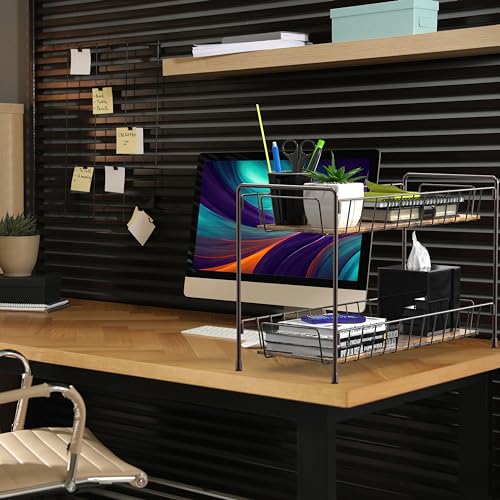 2 Tier Countertop Spice Rack Organizer