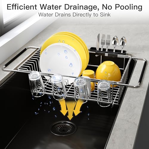 in Sink Dish Drying Rack with Drainboard and Utensil Holder
