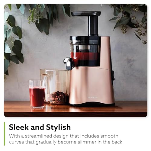 H AA Cold Press Juicer Machine