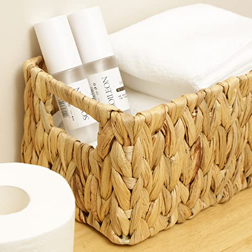 Water Hyacinth Storage Baskets (2 Count)