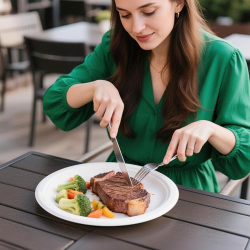 100% Compostable Plates 10 Inch 125 Pack Paper Plates Heavy (125 Count)