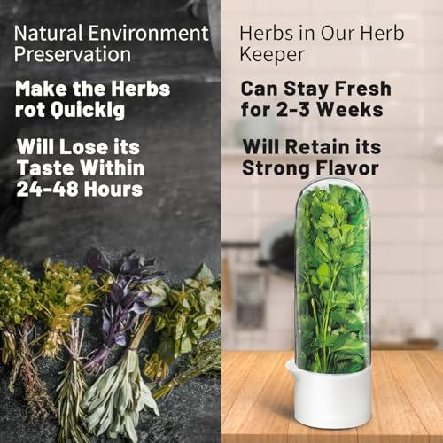Herb Keeper for Refrigerator (3 Count)
