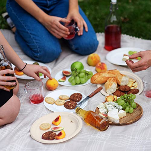 150 Pack Paper Plates 9 inch 100% Compostable (150 Count)