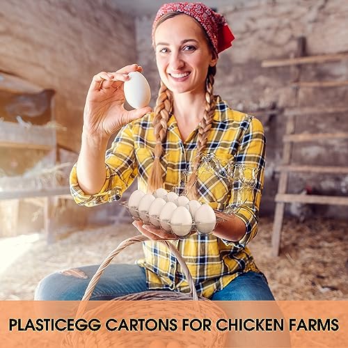 Egg Cartons Cheap Bulk 100 Pack (100 Count)