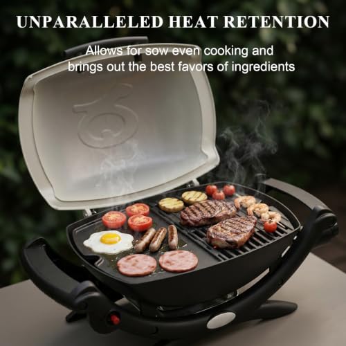 Cast Iron Griddle for Weber Q100