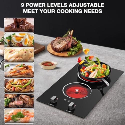 2 Burner Electric Cooktop